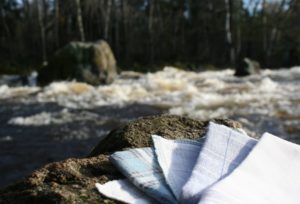 Read more about the article Kangasnenäliina – järkeä vai ei?